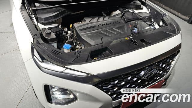 Hyundai Santa Fe TM Exclusive, 2020 6