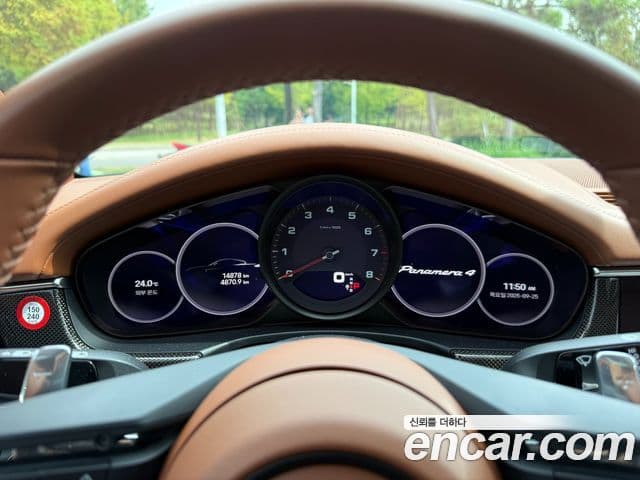 Porsche Panamera (971) 2.9 AWD Platinum Edition, 2024 11