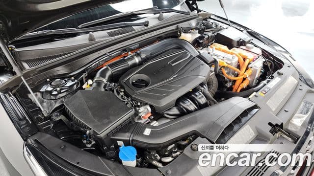 Kia K5 гибрид 3세대 Noblesse, 2023 6