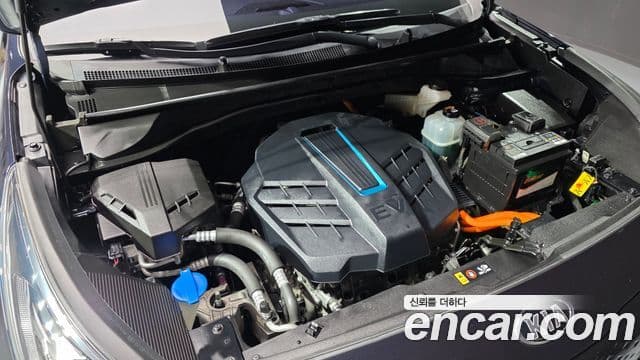 Kia Niro EV Noblesse, 2019 6