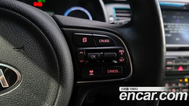 Kia Niro EV Noblesse, 2019 19