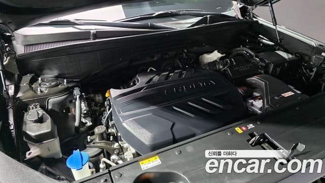 Hyundai Palisade Exclusive, 2020 6