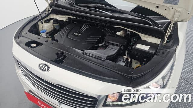 Kia All New Carnival Noblesse, 2017 6