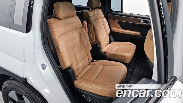 Hyundai Santa Fe (MX5) Calligraphy, 2024 12