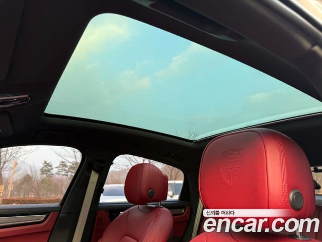 Porsche Cayenne (PO536) 3.0 купе Platinum Edition, 2023 12