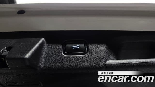 Hyundai Palisade Prestige, 2021 20