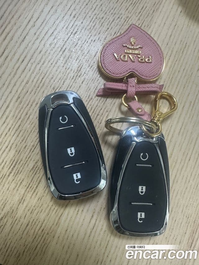 Chevrolet(GM대우) 볼트 EV EV LT Deluxe, 2019 14