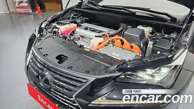 Lexus NX300h Supreme, 2020 6