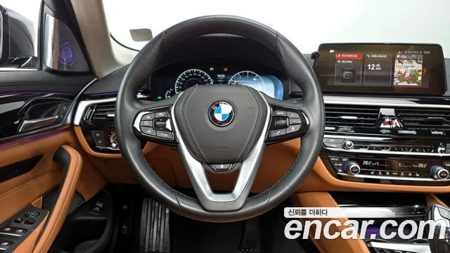 BMW 5시리즈 (G30) Luxury, 2019 13