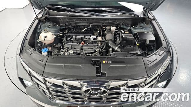 Hyundai Tucson (NX4) Premium, 2023 6