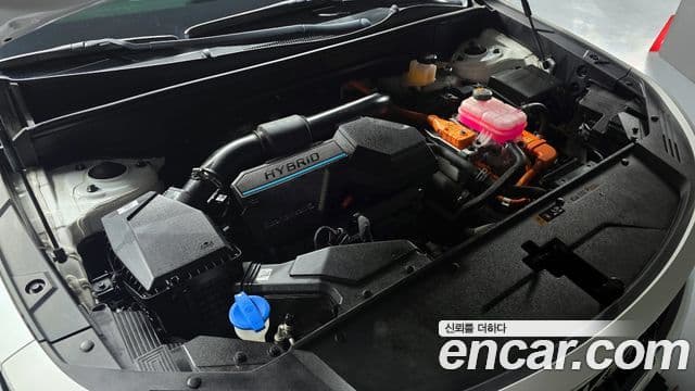 Kia Sorento 4세대 Noblesse, 2022 6