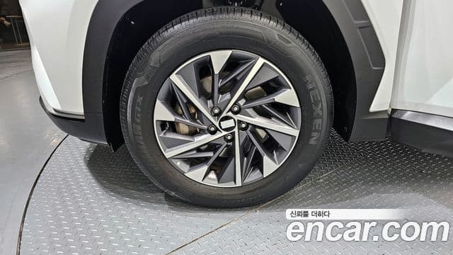 Hyundai Tucson (NX4) Premium, 2023 все фото