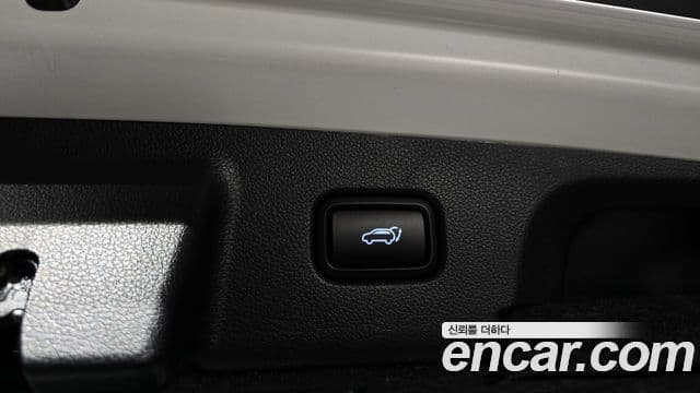 Hyundai Palisade Prestige, 2020 20