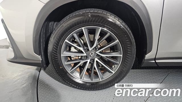 Lexus NX450h+ 2세대 Premium, 2022 все фото