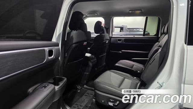 Hyundai Santa Fe (MX5) Calligraphy, 2024 12