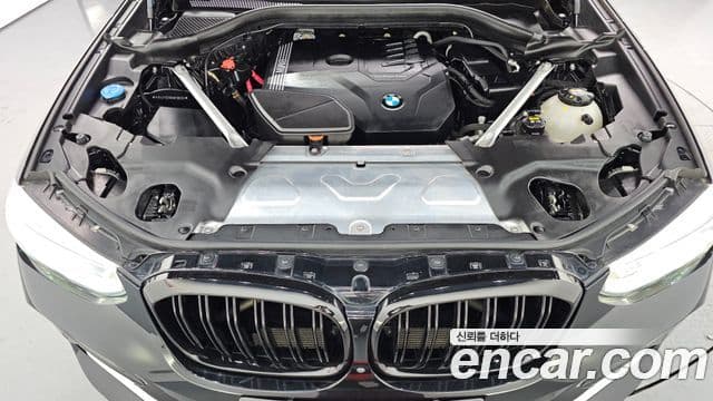 BMW X4 (G02) xDrive20i xLine, 2021 6