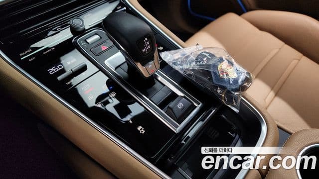 Porsche Panamera (971) 2.9 AWD Platinum Edition, 2023 9