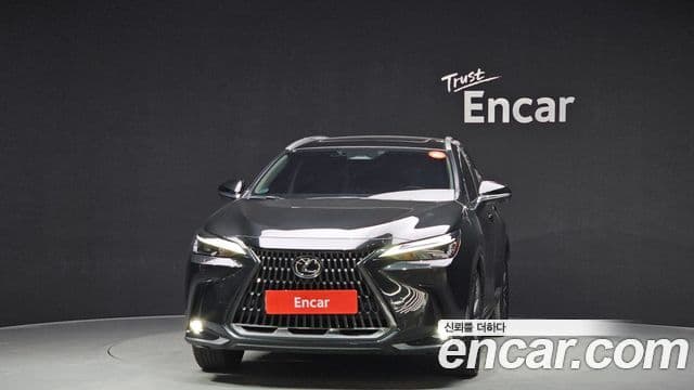 Lexus NX450h+ 2세대 Premium, 2024 3