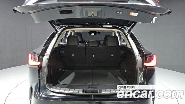 Lexus NX450h+ 2세대 Premium, 2024 20