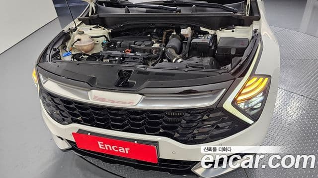 Kia Sportage 5세대 Signature, 2022 6