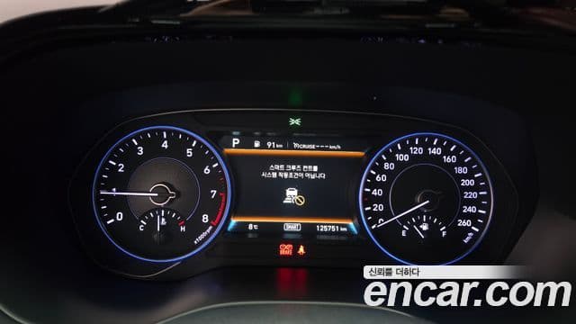 Hyundai Palisade Prestige, 2019 8