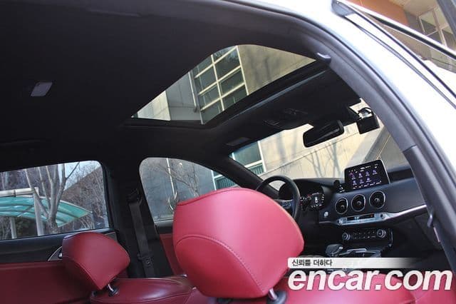 Kia 스팅어 Platinum, 2020 18