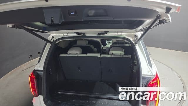 Hyundai Palisade Prestige, 2020 20