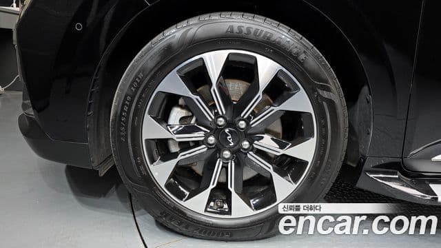 Kia Carnival 4세대 Noblesse, 2023 все фото