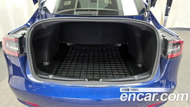 Tesla модель 3 Standard Range Plus, 2020 20