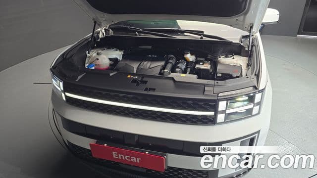 Hyundai Santa Fe (MX5) Calligraphy, 2024 6