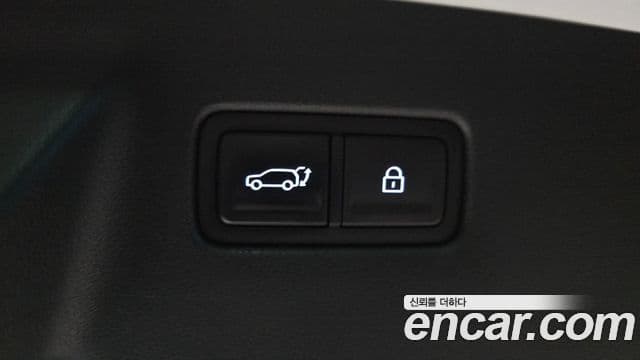 Hyundai Santa Fe (MX5) Calligraphy, 2024 20