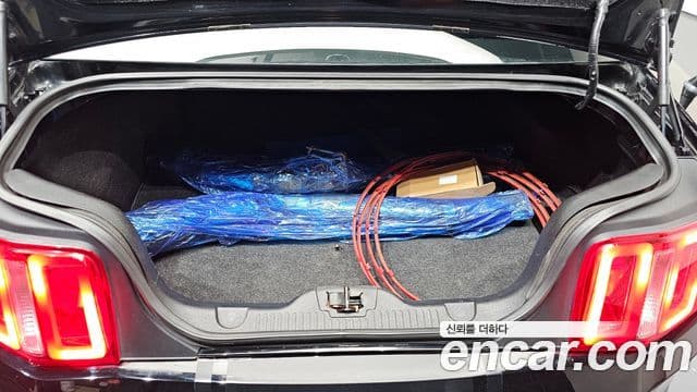 Ford Mustang купе, 2010 20