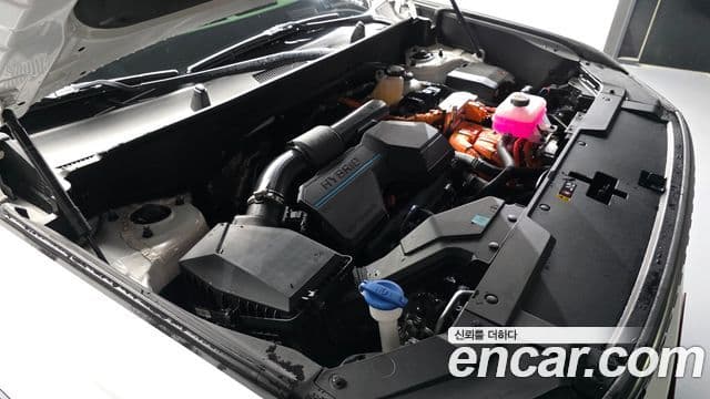 Hyundai Santa Fe (MX5) Calligraphy, 2024 6