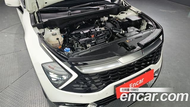 Kia Sportage 5세대 Signature, 2022 6