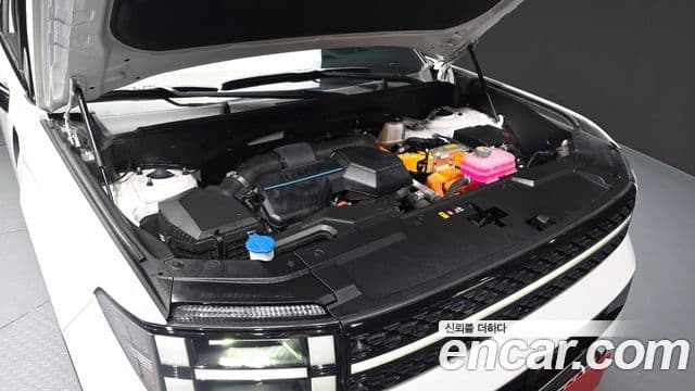 Hyundai Santa Fe (MX5) Calligraphy, 2024 6