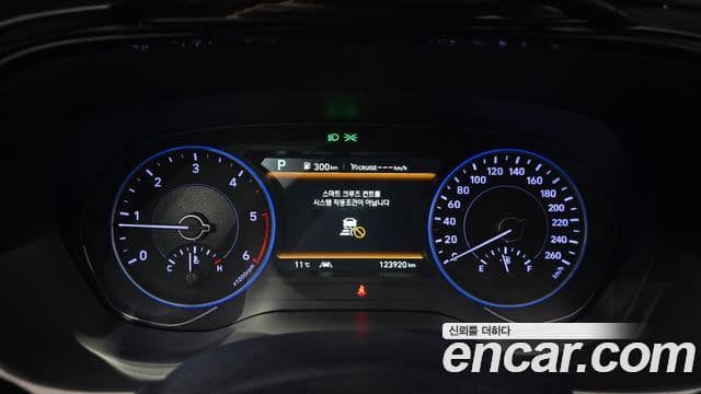 Hyundai Palisade Prestige, 2019 8