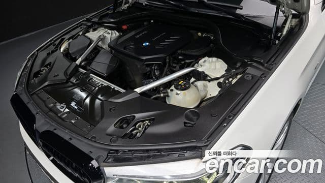 BMW 5시리즈 (G30) 520d Luxury Plus, 2018 6