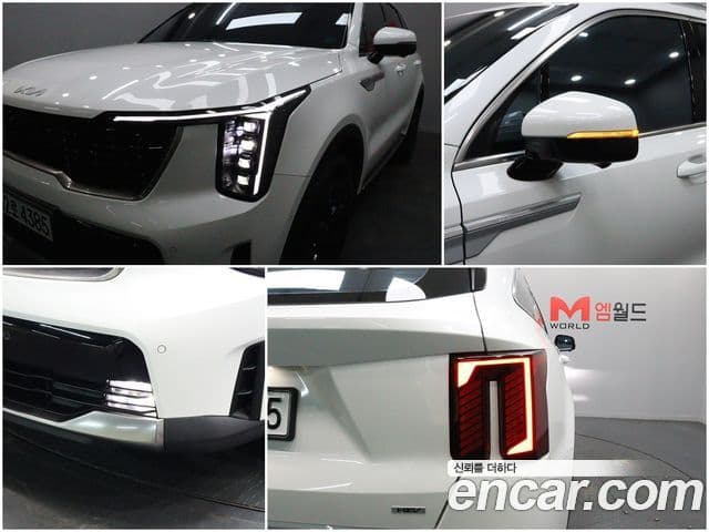 Kia The / новый New Sorento 4세대 Noblesse, 2024 19