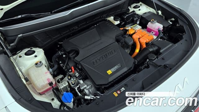 Kia D All New Niro Trendy, 2024 6