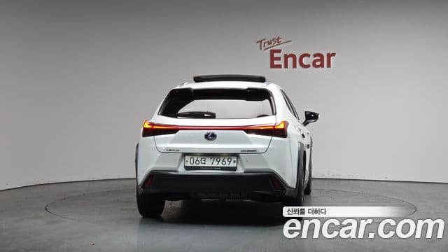 Lexus UX250h, 2019 4