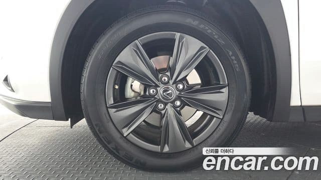 Lexus UX250h, 2019 все фото