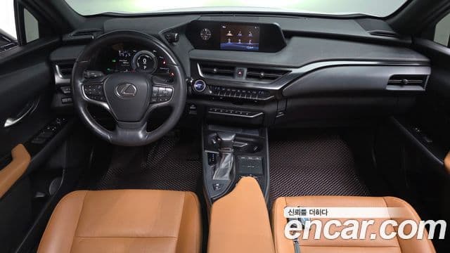 Lexus UX250h, 2019 7