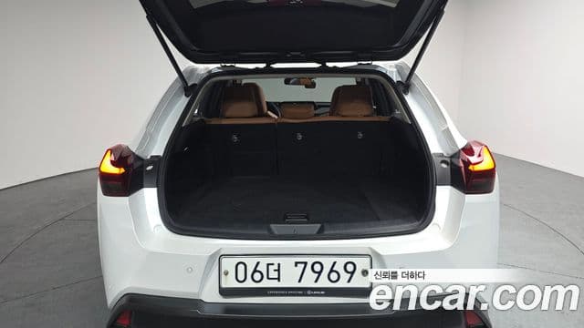 Lexus UX250h, 2019 20