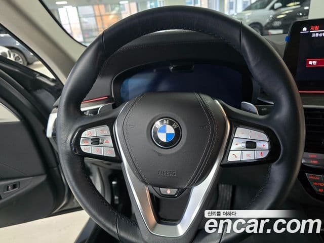 BMW 5시리즈 (G30) Luxury, 2023 14
