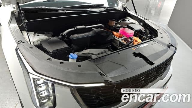 Kia The / новый New Sorento 4세대 Noblesse, 2024 6