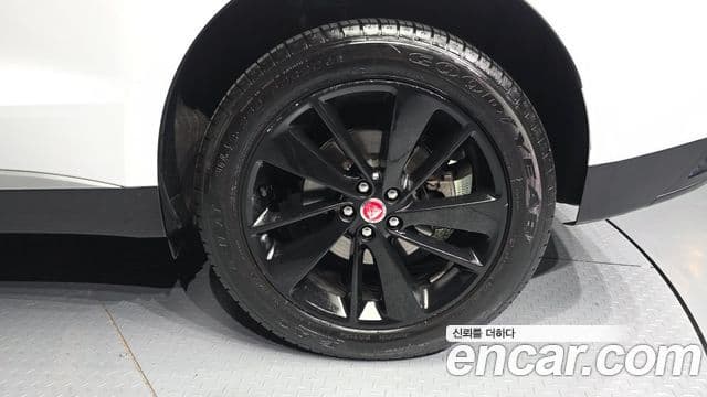 Jaguar F-PACE P 250 SE, 2023 все фото