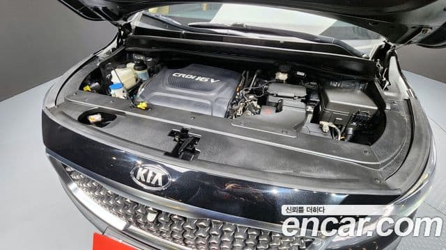 Kia All New Carnival Noblesse, 2016 6