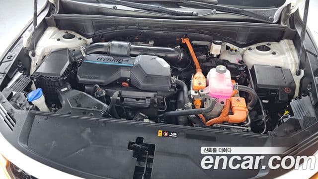 Kia Sorento 4세대 Noblesse, 2023 6