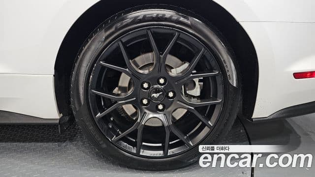 Ford Mustang купе, 2022 все фото