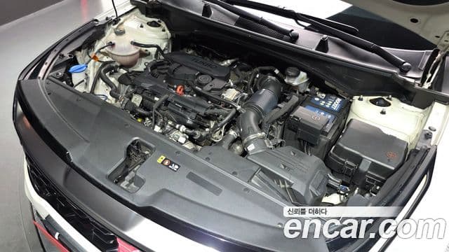 Kia Sportage 5세대 Signature, 2022 6